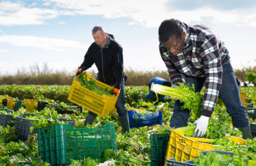 Seasonal Agricultural Workers